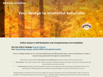 www.bridges.academy snapshot