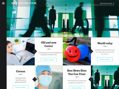 newonlineview.com snapshot