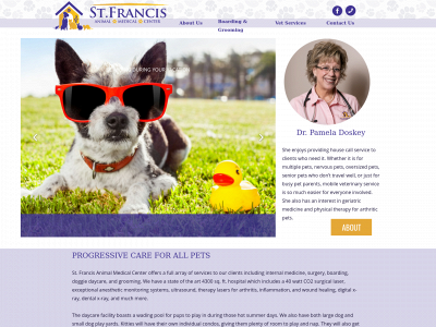 stfrancisamc.com snapshot