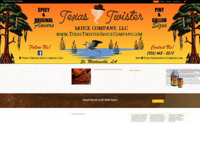 texastwistersaucecompany.com snapshot