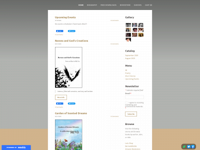 bv1975.weebly.com snapshot