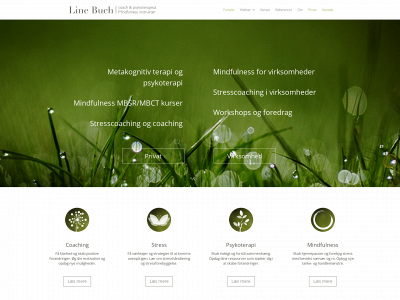 linebuch.dk snapshot