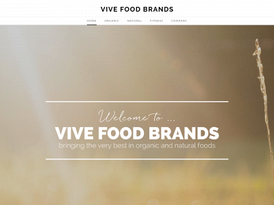 vivefoodbrands.com snapshot