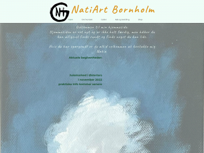 natiart.dk snapshot