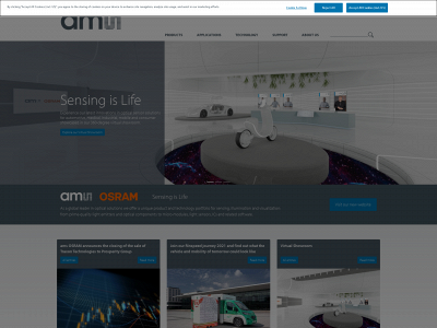 ams.com snapshot