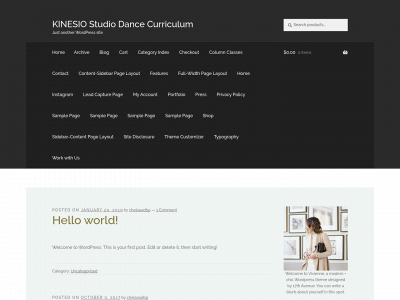 kinesiodance.com snapshot