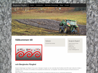 berglock.se snapshot