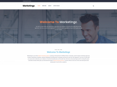 marketingz.org snapshot