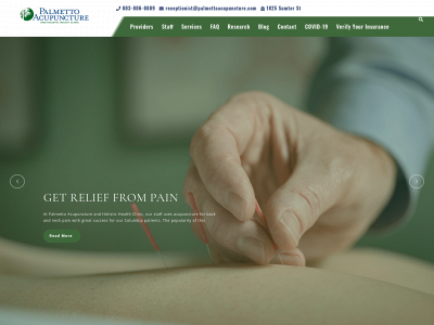palmettoacupuncture.com snapshot