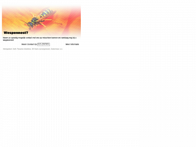 wespen.mobi snapshot