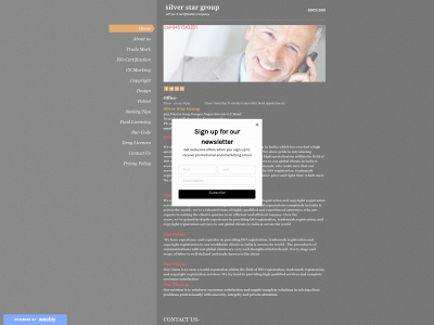 silverstargroup.weebly.com snapshot