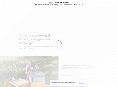 anotherbeechannel.eu snapshot