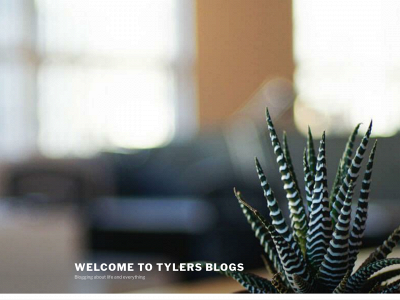 tylerswardsblogs.com snapshot