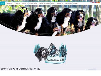 vomdurrbachlerwald.com snapshot
