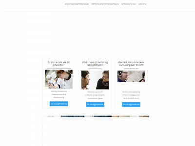 sovi.dk snapshot