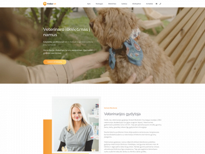 ambervet.lt snapshot