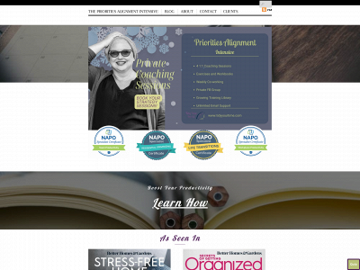 tidyyourtime.com snapshot