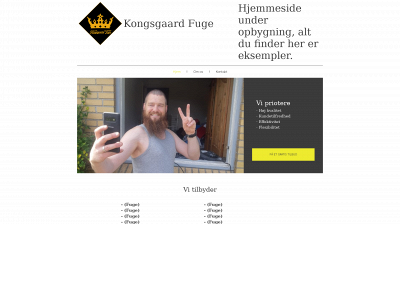 ravnsfolk.dk snapshot