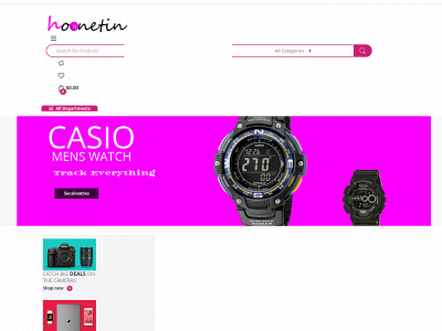 hoonetin.com snapshot