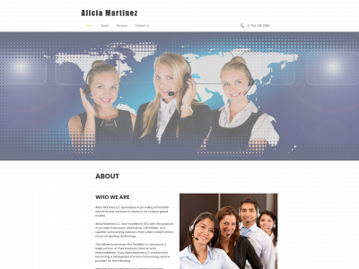aliciamartinezllc.com snapshot