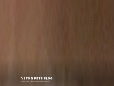 vetsnpets.blog snapshot