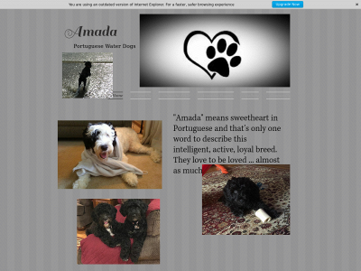 amadakennels.com snapshot