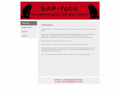 sap-foto.dk snapshot