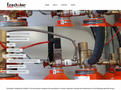 www.firechoker.co.nz snapshot