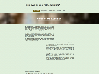 fewo-boompicker.com snapshot