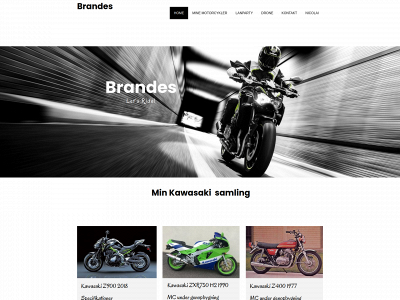 brandes.dk snapshot