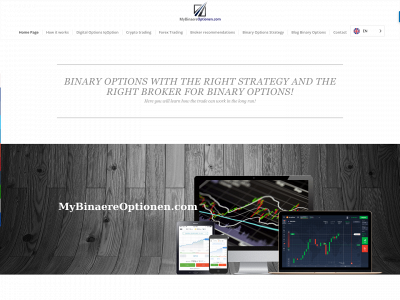mybinaereoptionen.com snapshot