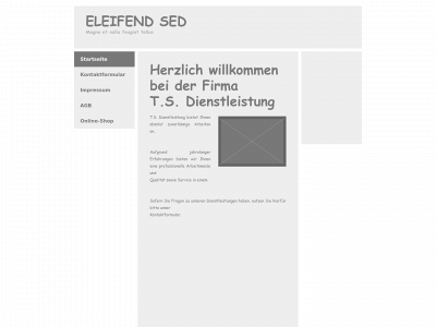 t-s-dienstleistung.de snapshot