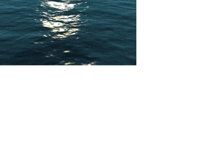 aquatone.digital snapshot