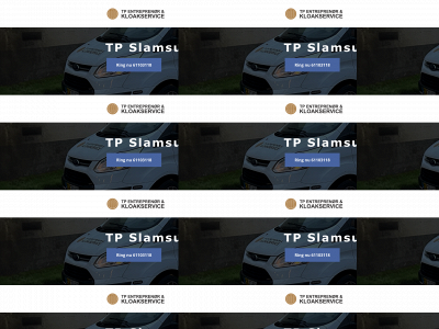 tpslamsugning.dk snapshot