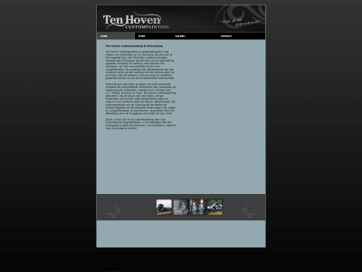 tenhovencustompainting.nl snapshot