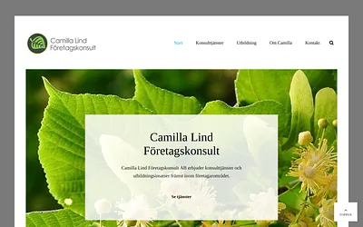 lindforetagskonsult.se snapshot