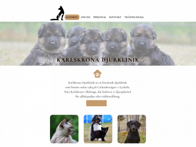 karlskronadjurklinik.se snapshot