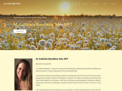 www.gabrielapsychotherapy.com snapshot