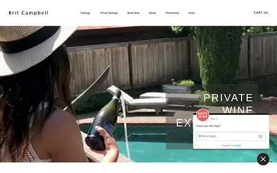 www.britsomm.com snapshot