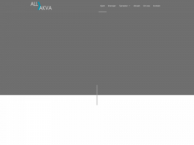 allakva.no snapshot