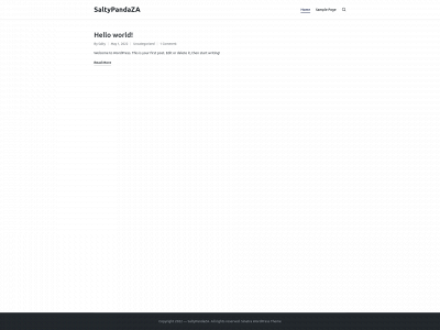 saltypandaza.com snapshot