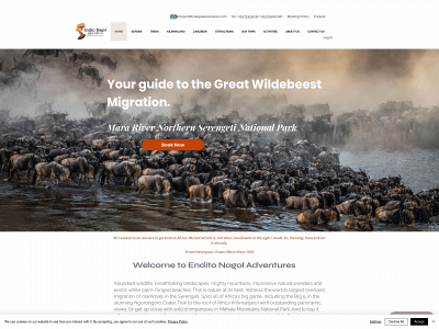 enditonagoladventures.com snapshot
