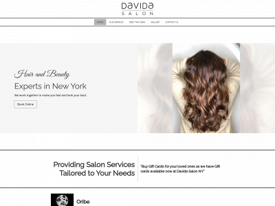 www.davidasalonny.com snapshot