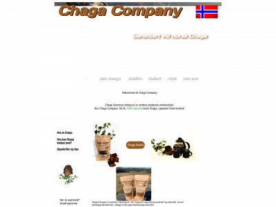 chagacompany.no snapshot