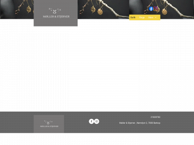 mollerogstjerner.dk snapshot