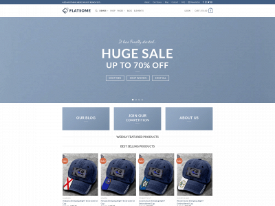 lamedonstore.com snapshot