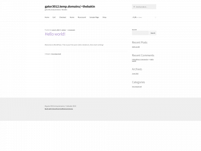 the-bare-skin.com snapshot