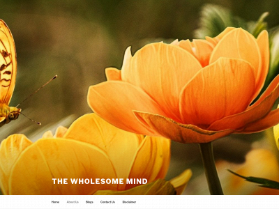 thewholesomemind.com snapshot