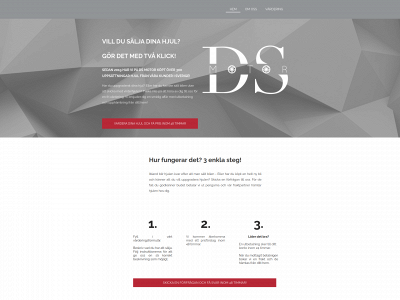 dsmotor.se snapshot