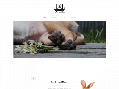 caelascamera.weebly.com snapshot